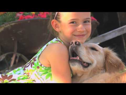 ABC 7 News at 11pm - Sunday January 22, 2017