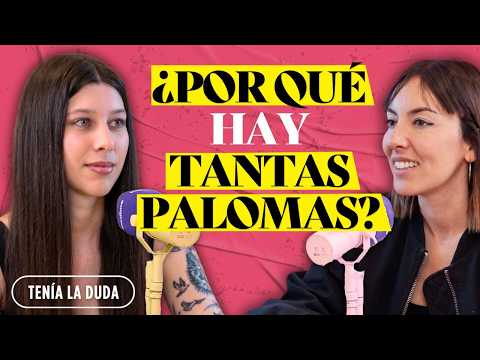 ¿Cómo SABEN las PALOMAS MENSAJERAS dónde ir?