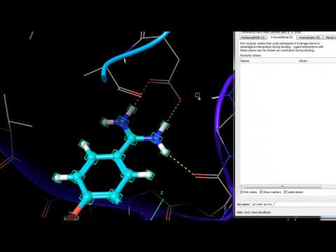 Receptor Grid Generation - Setting H-bond Constraints