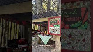 Salt.Spring Island, British Columbia 🚢　#カナダ旅行 #カナダ生活 #ソルトスプリング島#バンクーバー