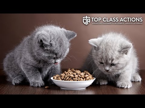 Prescription Cat Food Lawsuit Claims Product Is Identical To Regular Cat Food