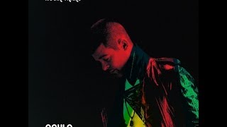 Whatever I Want- Robin Thicke Lyrics (In Description Bar)