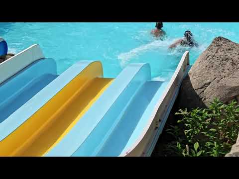 Camping le Dauphin - Camping Charente-Maritime - Image N°2