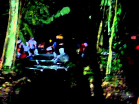 A noite do cachorro doido 2010