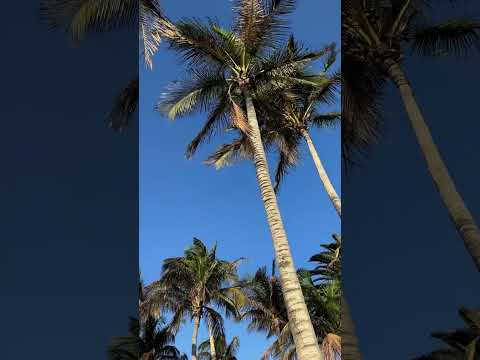 Videos del Paradisus By Meliá Salinas Lanzarote 5★ en Costa Teguise, EspañaVer MásVerPrecios17CerrarConsulta por Whatsapp 🇦🇷BookingTripadvisorExpediaAgodaTravelocityOrbitzPricelineTripSkyscannerDespegarHotelesDestiniaTrivagoLastminuteHotwireTuiWotif