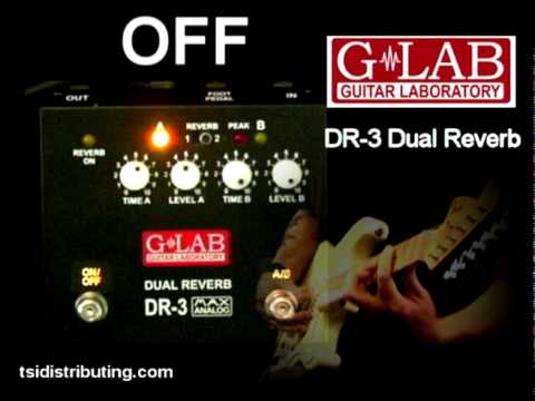 Guitar Laboratory  DR-3 Dual Reverb image 2