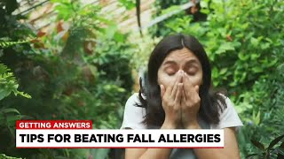 Immunology expert discusses fall allergen forecast