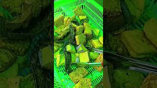 Download lagu Sego Sambel Lele Enak mantap yang ada di #surabaya Layak untuk Di coba. mp3