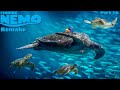 Finding Nemo The Live Action Remake Part 16