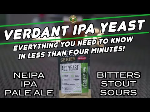 Verdant IPA Yeast Everything You Need To Know Lallemand