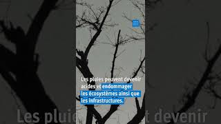 Journée mondiale de l’environnement (5 juin)
