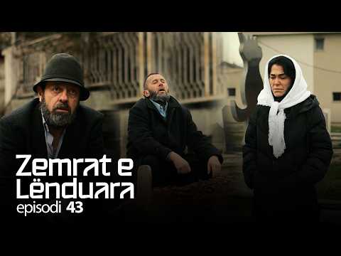 ZEMRAT E LËNDUARA - Episodi 43