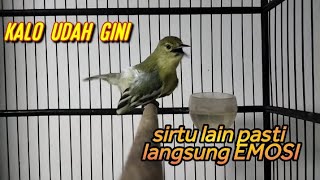Download lagu Sirtu manapun pasti akan ikut Emosi dengar tantangan Sirtu ini. mp3 Download lagu Sirtu manapun pasti akan ikut Emosi dengar tantangan Sirtu ini. mp3