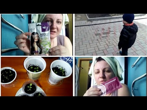 Пикирование Петунии/ Уход за волосами/ Прогулка/ Ремонт/