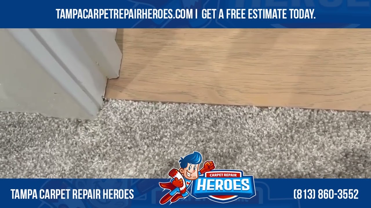 Carpet Transition Repair