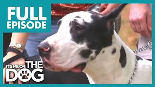 Thumbnail del capítulo