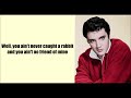 Hound Dog Elvis Presley Lyrics