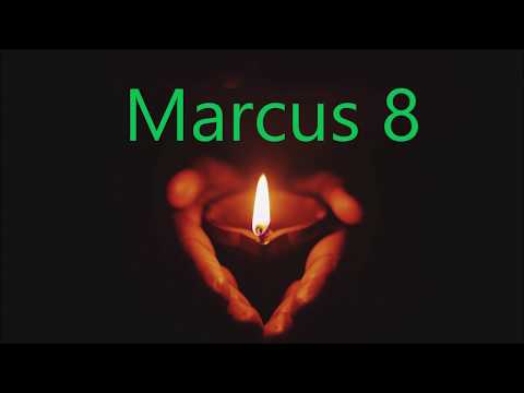 Marcus 8