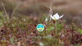 preview picture of video 'Unelmaa Lapland forest'