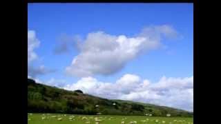 The Yellow Rose Of Texas － Mitch Miller