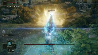 Tree Sentinal's fun interaction with Comet Azure, Elden Ring