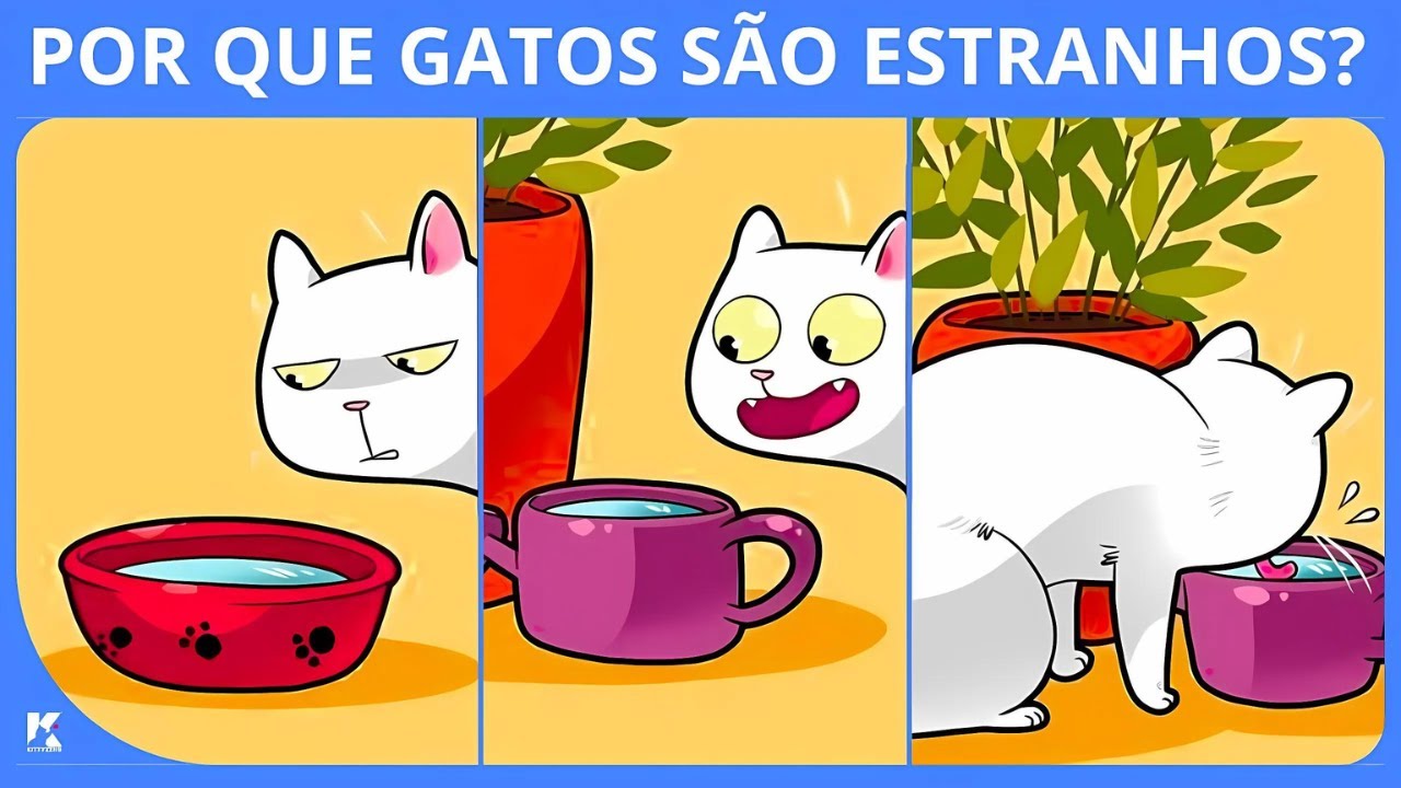 POR QUE O MEU GATO É ESTRANHO? - A Ciência Explica | Kittyzens