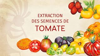 Nola lortu tomate haziak - Kokopelli (frantsesez)