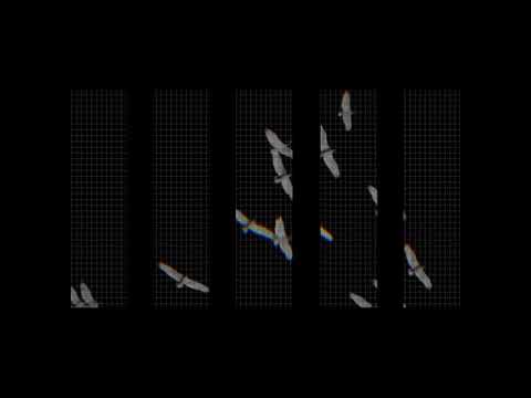 Karlvili - Tavis Ufleba