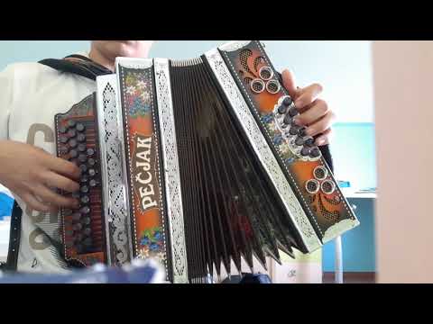 Ansambel Mira Klinca-Slovenski vojak