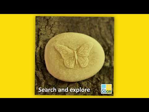 Slide 8 - Let's Investigate, Bugs, 8 Pieces (video)