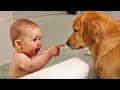 Ultimate Baby Dog Moments The Sweetest And Cutest Duo Funny Babies Video COOL PEACHY