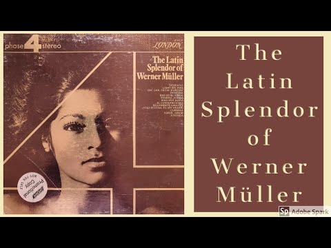 Werner Müller - Solamente Una Vez (You Belong To My Heart)