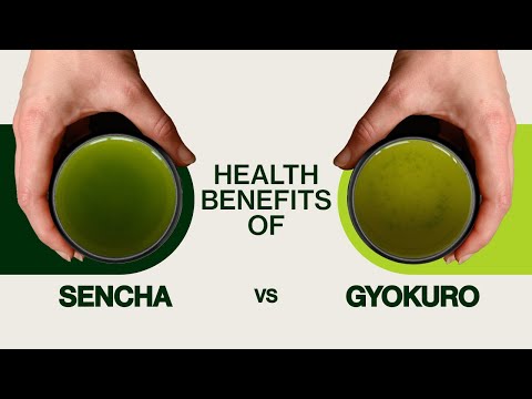 Health Benefits of Sencha Tea vs Gyokuro - Which Tea is Healthiest?