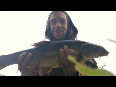 Fishing for Barbel and Chub on The River Ribble Part. 1