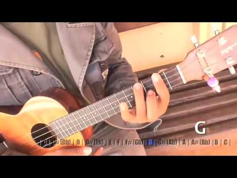 Uke Minutes 17 - Movable Chord Shapes
