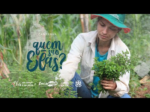 Quem são elas?