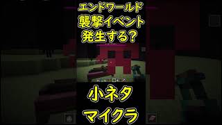 エンドワールドで『襲撃イベント』は発生するのか検証してみたｗ　【マイクラ/マインクラフト】 #shorts