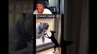 Download lagu He Was Tough Until the Door Opened mp3 Download lagu He Was Tough Until the Door Opened mp3