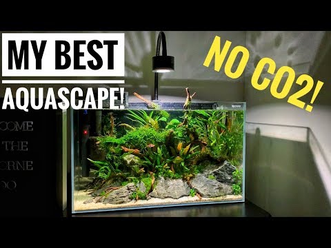 OUR BRAND NEW AQUARIUM! | The Waterbox Clear 10