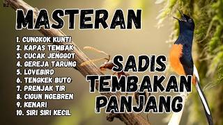 Download lagu 🔴 GACOR SADIS MENTAL KUAT MASTERAN MURAI BATU GACOR mp3 Download lagu 🔴 GACOR SADIS MENTAL KUAT MASTERAN MURAI BATU GACOR mp3