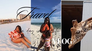 Family Vacation Airbnb Shopping Ross Dinner  ZooWorld Beach