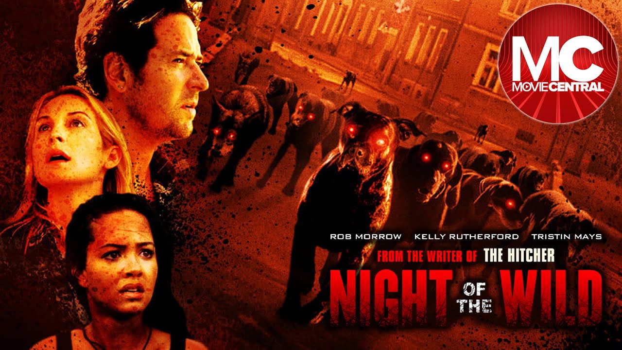 Night of the Wild (2015)