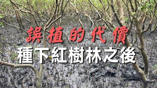 Re: [新聞] 桃園海岸線30年退200公尺 未來5年種十萬