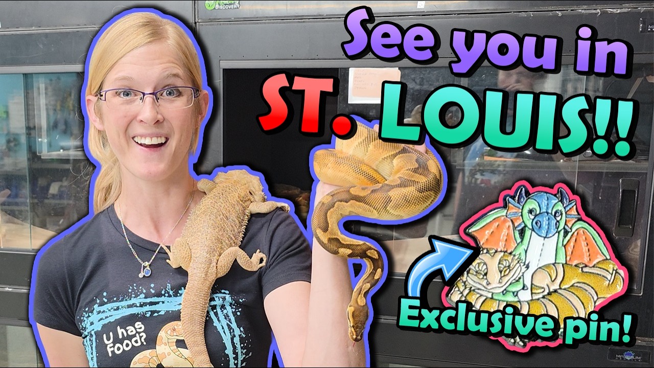 We're going to the St. Louis NARBC! (Nov. 14-15, 2026)