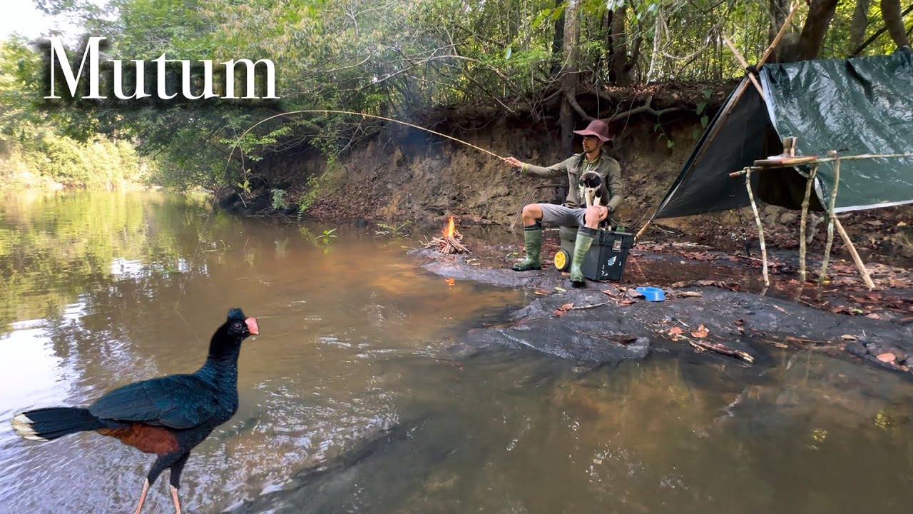 SÓ DEU LAMBARI,O TEMPO FECHOU!! ANIMAIS EM TORNO DO CAMPING ⛺️