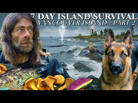 7 Day Island Survival Challenge: Vancouver Island - Part 2 of 3 | Catch & Cook Adventure!