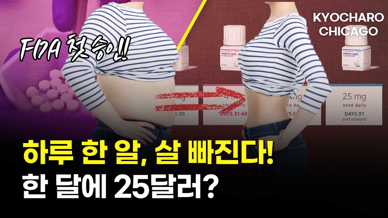[시카고 교차로] 데스플레인에 코스트코 생긴다…? 위고비 하루 한 알 시대 너무 쉽게 살뺀다, 엠투어 샴버그로 확장 이전… 국내선 항공도 더 이상 ‘안전지대’ 아니다