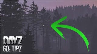 FIX mouse cursor stuck on screen | DayZ (PC)