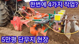 5만평 단무지 현장을가다~~ 트랙터쟁기,씨앗파종기,쟁기,농약살포기,분무기