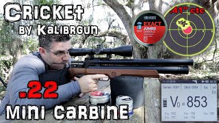 Kalibrgun Cricket Mini Karabinerhaken